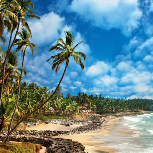 Sartguru Travels, Raipur