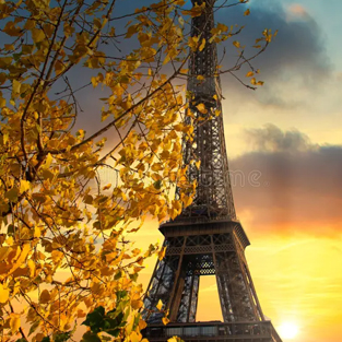 Sartguru Travels, Raipur