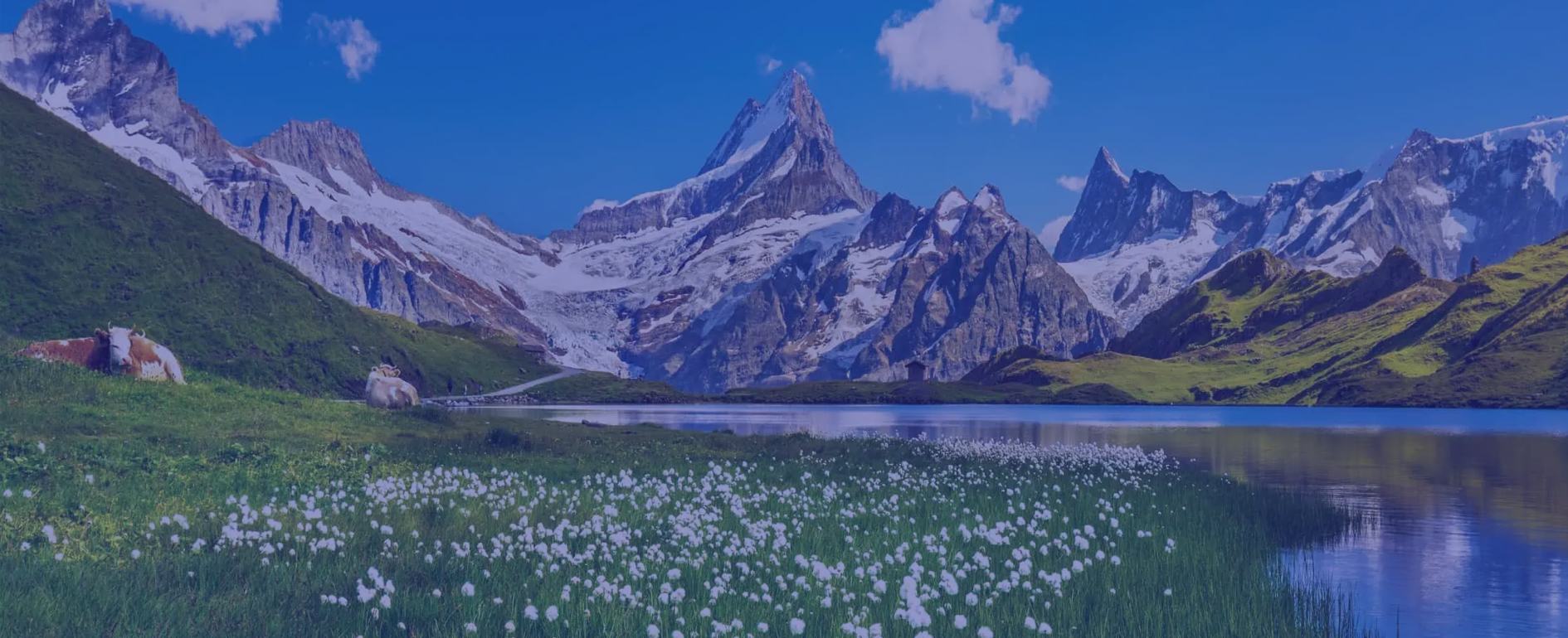 SATGURU TRAVELS, Raipur