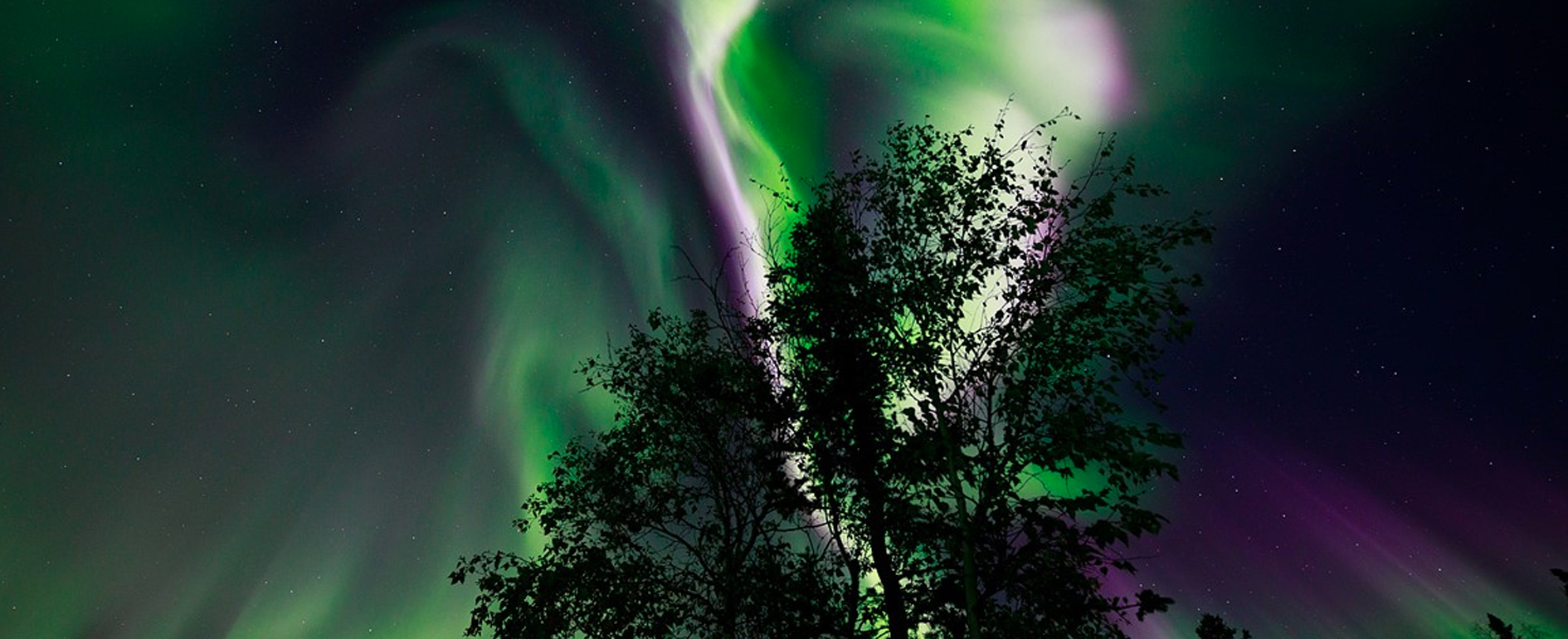 SATGURU TRAVELS, Raipur